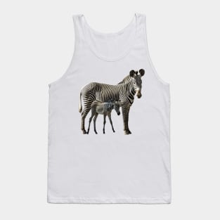 Grevy Zebra Mama with Baby in Kenya / Africa Tank Top